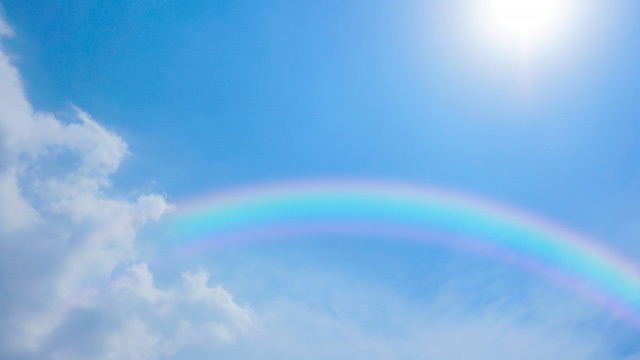 セレモニーと火葬について